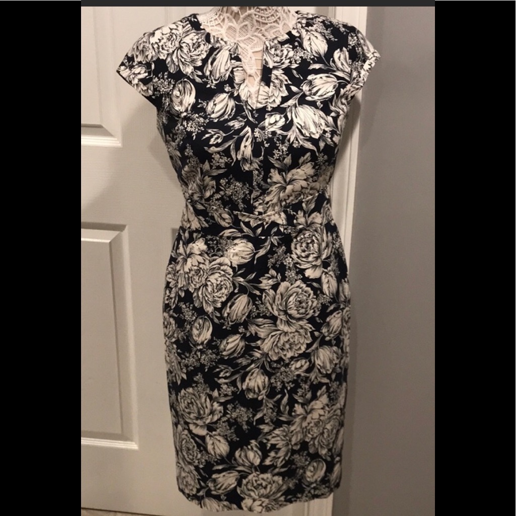 Brand New Ann Taylor Dress
